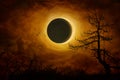 Dramatic mystical background Ã¢â¬â total eclipse of glowing full moon in dramatic dark red sky. Halloween background. Total lunar