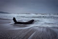 Dramatic nature background - big waves and dark rock in stormy sea, stormy weather. Dramatic scene. Royalty Free Stock Photo