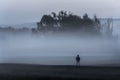 Man standing alone in the foggy nature Royalty Free Stock Photo