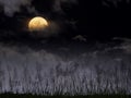 dramatic night sky with full moon and meadow for halloween background.