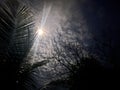 A dramatic night sky with moonlight shining through tropical palm leaves and clouds Royalty Free Stock Photo