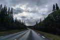 Dramatic northern scandinavian route. Cold northern europe freeway. Nature forest