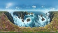 dramatic ocean cliffs and wild flowers Royalty Free Stock Photo