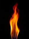 Dramatic Orange Fire Flames Isolated on Dark Black Background Royalty Free Stock Photo