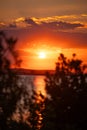 A dramatic orange sunset shot between tree branches and leaves silhouettes. Yellow-red sky with clouds over the Black Royalty Free Stock Photo