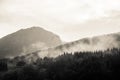 A dramatic, overcast scenery on the coeast of fjord during a ferry ride in Norway near Bergen.