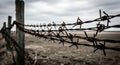Rusty barbed wire fence under a bleak sky Royalty Free Stock Photo