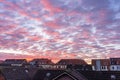 dramatic pink and purple cotton candy sky in city Royalty Free Stock Photo