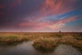 Dramatic pink sunset over swamp Royalty Free Stock Photo