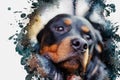 Dramatic portrait of a Rottweiler with sad eyes. Sad female dog