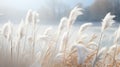 Dramatic Rain-Laden Tall Reeds by a Pond\'s Edge AI Generated