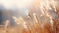 Dramatic Rain-Laden Tall Reeds by a Pond\'s Edge AI Generated