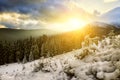 Dramatic rays of sunset sky in winter mountains.