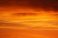 Dramatic red and orange sky and clouds abstract background. Red-orange clouds on sunset sky. Warm weather background. Art picture Royalty Free Stock Photo