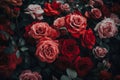 Dramatic red roses garden. Generate Ai Royalty Free Stock Photo