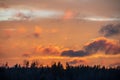 dramatic red sunset colors in the sky above trees and fields Royalty Free Stock Photo