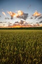 dramatic red sunset colors in the sky above trees and fields Royalty Free Stock Photo