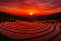 Dramatic Red Sunset Over Terraced Rice Fields Reflecting the Sky rice terraces landscape Royalty Free Stock Photo