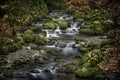 Dramatic River, Alva Glen Scotland Royalty Free Stock Photo