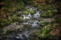 Dramatic River, Alva Glen Scotland