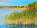 Dramatic river backwater landscape background