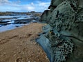 Dramatic rock detail at Petticoat Creek Beach