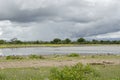 Dramatic scene of flat green plain and large rain clouds above, Etosha, Namibia