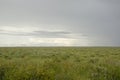 Dramatic scene of flat green plain and large rain clouds above, Etosha, Namibia