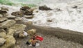 Dramatic scene at Portofino - La Spezia