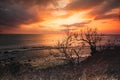 Dramatic Scenery of sunset near seaside. Royalty Free Stock Photo