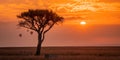 Dramatic scenery of sunset over the grassland with grazing zebras in Kenya, Africa