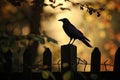 A dramatic shot of a black raven perched on a spooky fencepost