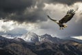 dramatic shot of an eagle ascending with storm clouds over mountains Royalty Free Stock Photo