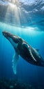 Dramatic side profile of majestic humpback whale in sunlit ocean depths Royalty Free Stock Photo