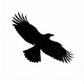 Dramatic Silhouette of a Black Bird Flying in the Sky with Wings Spread on White Background Royalty Free Stock Photo