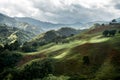 Dramatic image of sunlit mountains and hills of agricultural farms in Caribbean.