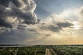 Dramatic skies over IJsslemonde island