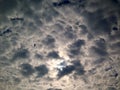 dramatic sky, clouds background, before rain Royalty Free Stock Photo
