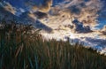 Dramatic sky with clouds and sunshine over beach grass