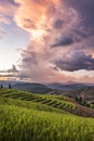 Dramatic sky , colorful clouds in the sunset