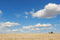 Dramatic sky with cumulus clouds over mown hay. Seasonal autumnal landscape for backgrounds