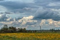 Dramatic sky with dark clouds over a field of yellow dandelions Royalty Free Stock Photo
