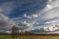 Dramatic sky with dark rain clouds over green agricultural field with row of birches tress in autumn landscape Royalty Free Stock Photo