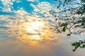 Dramatic sky of golden or yellow sunset light with blue sky and white clouds at evening time. with green tree leaf. Royalty Free Stock Photo