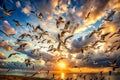 Many birds flying on dramatic sky background Royalty Free Stock Photo