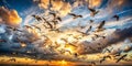 Many birds flying on dramatic sky background Royalty Free Stock Photo