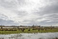 Dramatic sky over nature reserve