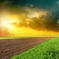 Dramatic sky in sunset over fields Royalty Free Stock Photo