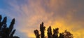 Dramatic sky with tree silhouette, Twilight time Royalty Free Stock Photo