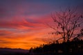 Dramatic sky view at sunset, tree silhouettes against purple clouds Royalty Free Stock Photo